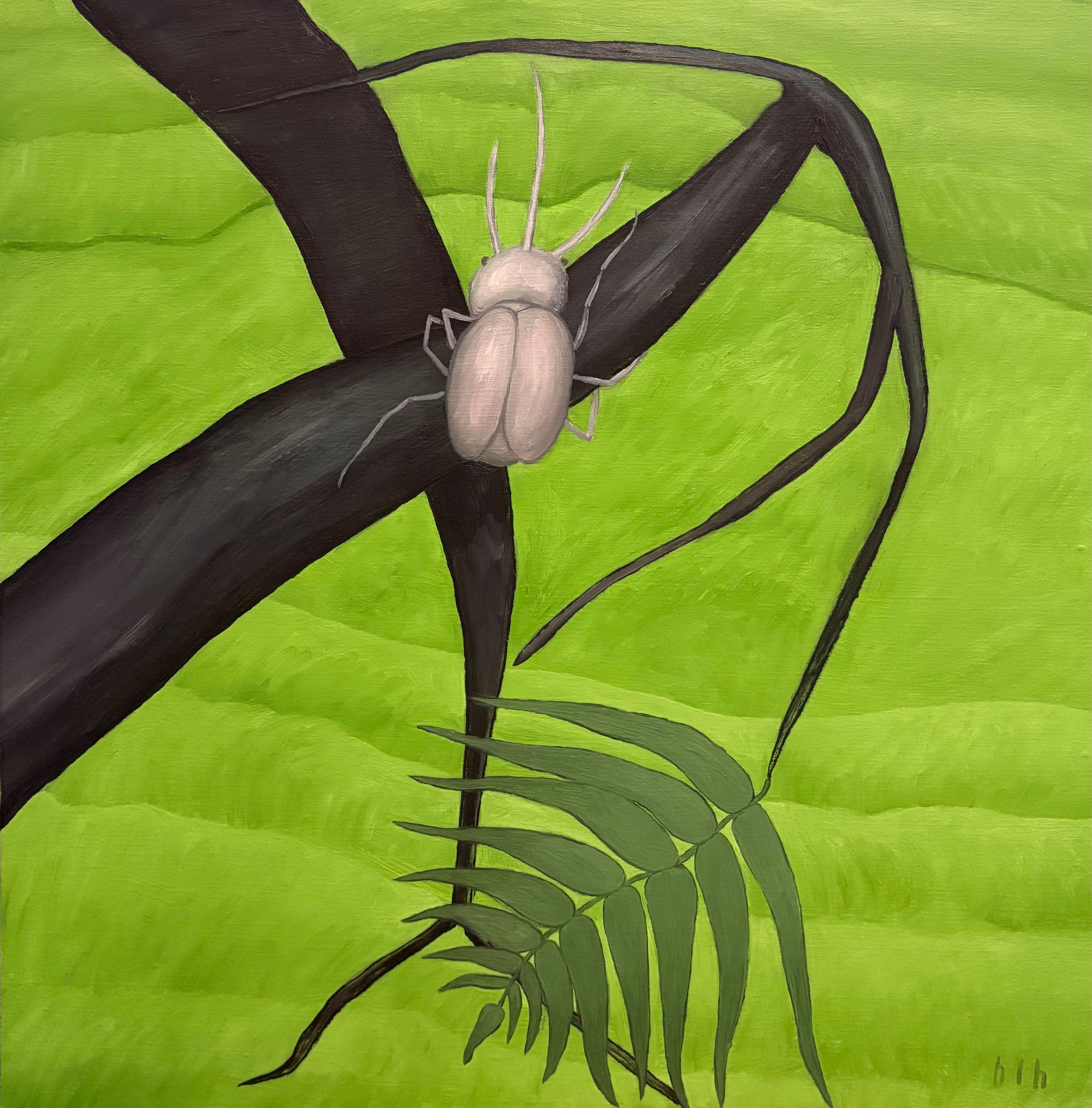 Beetle leaves
