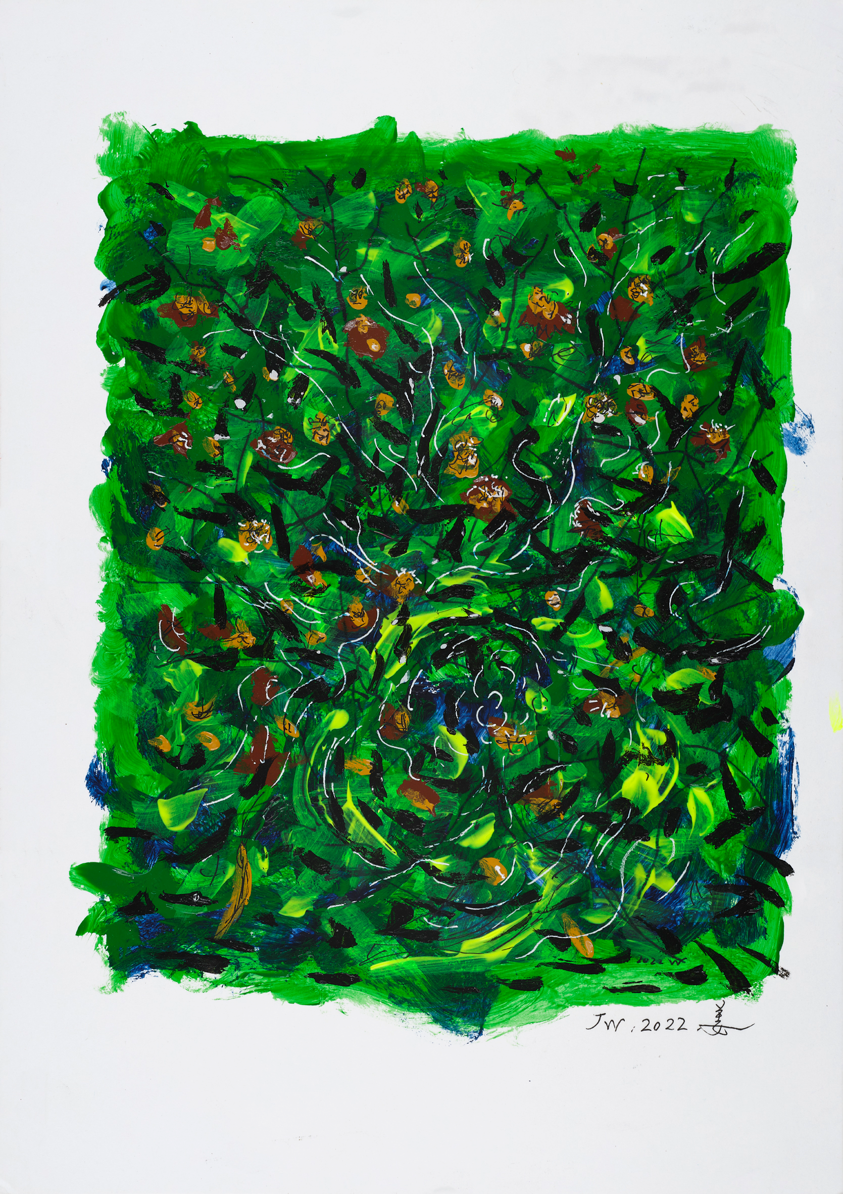 The Spirit of Ancient Trees & Energy of Grasses
