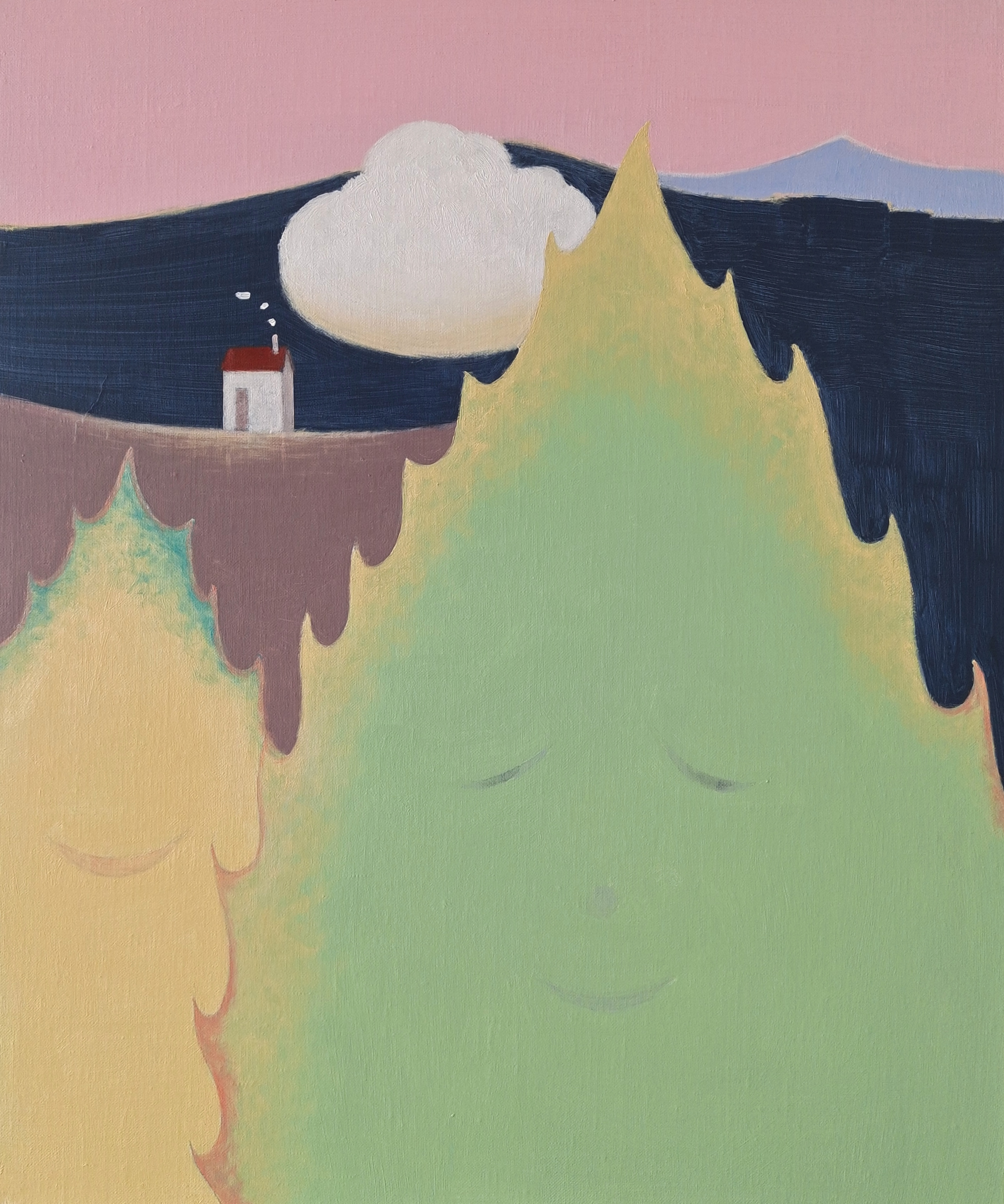 The distant house
