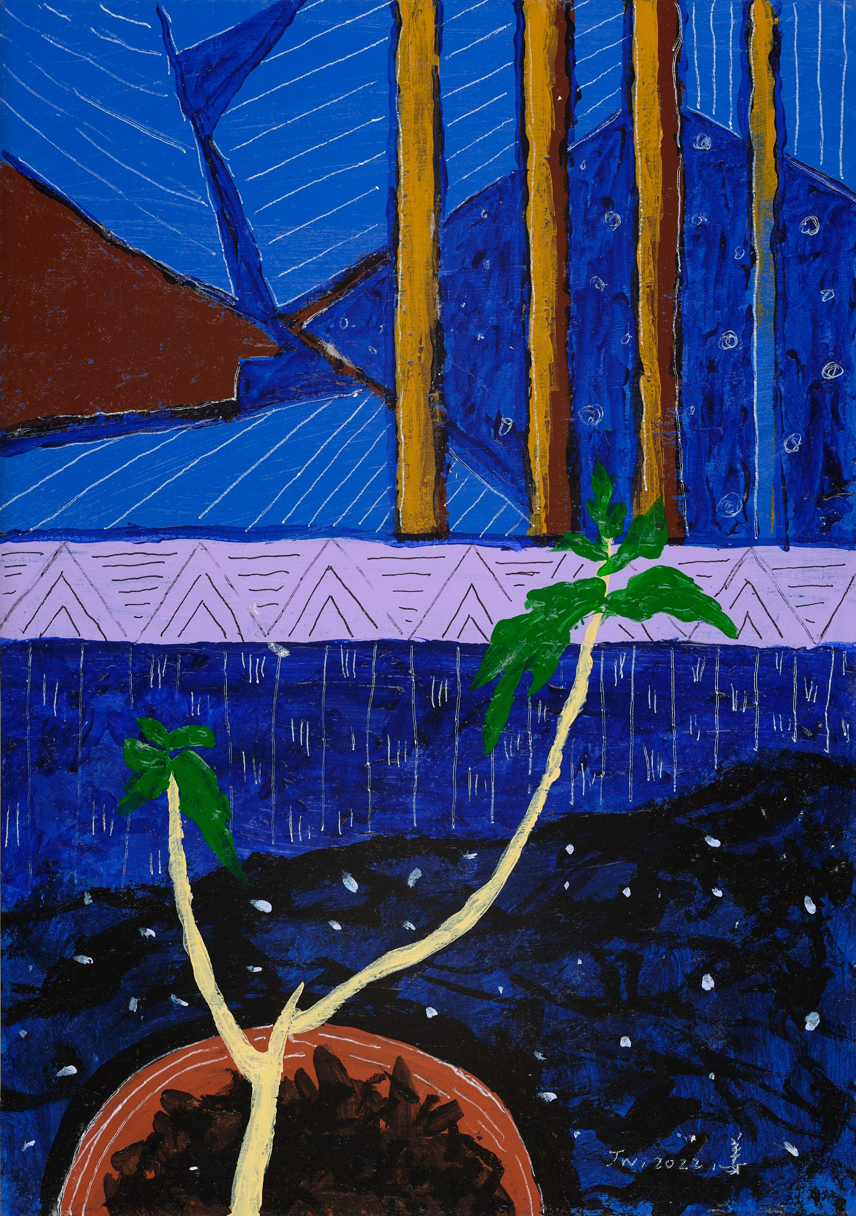 Living Multidimensional Plants in Flower Pots by the Window