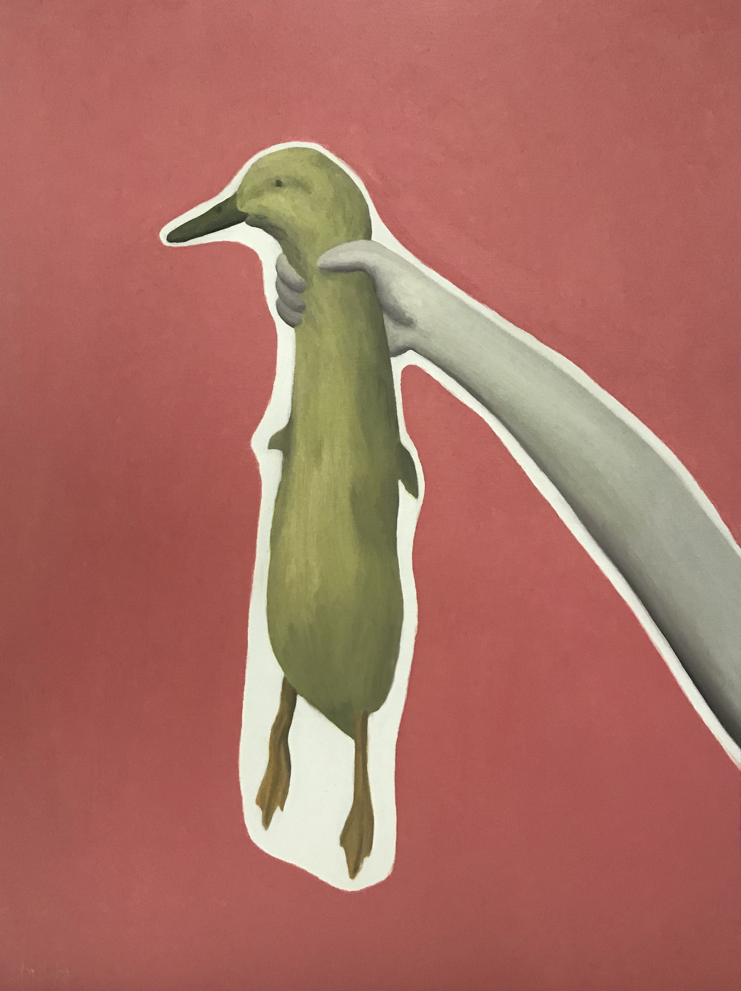 Catch the duck