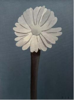 Colorless flower