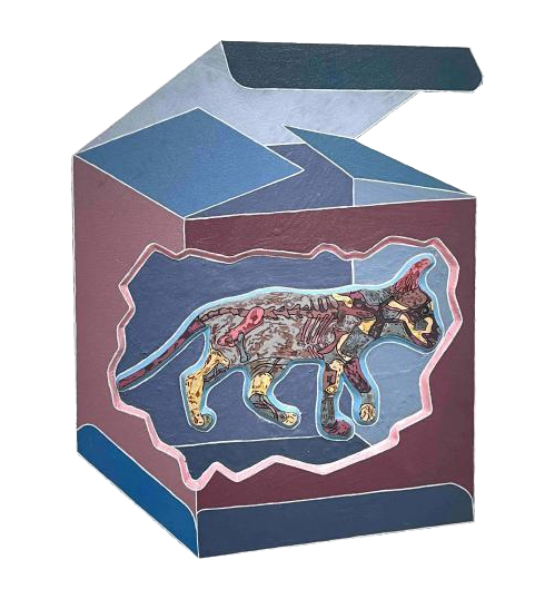 Schrödinger's Cat